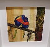 Rhonda Stien - Frayed Exhibition April 2022