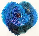 Barbara Schey - Treasure Trove Gallery 1           January 2021