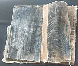 "The Book of Earth, Water and Ferns" - Look Inside Exhibition March 2023