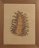 "Pine Cone" - Look Inside Exhibition March 2023