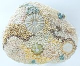 Jane Gee - Treasure Trove Gallery 2     January 2021