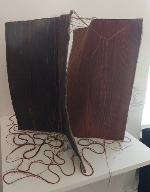 "Flayed" - Look Inside Exhibition March 2023