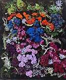 "The Sea Garden" - Look Inside Exhibition March 2023