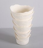 Denise Lithgow - Palm House Exhibition 2018