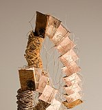 Kirry Toose - Palm House Exhibition 2018